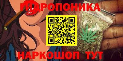 гашик Краснокаменск
