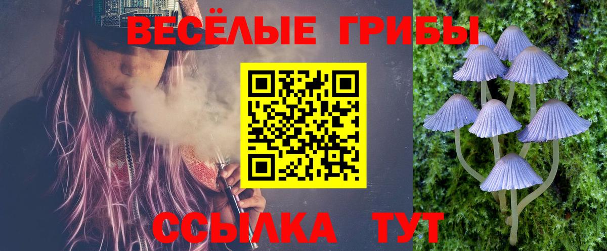 Псилоцибиновые грибы прущие грибы Выкса