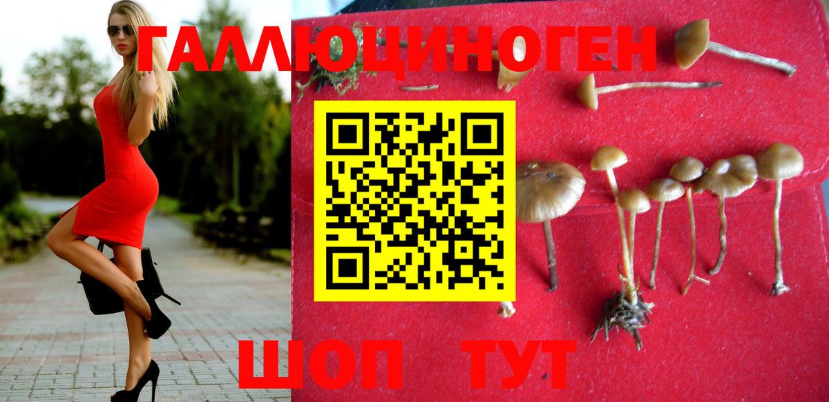 Псилоцибиновые грибы ЛСД  Вход с VPN  Выкса 